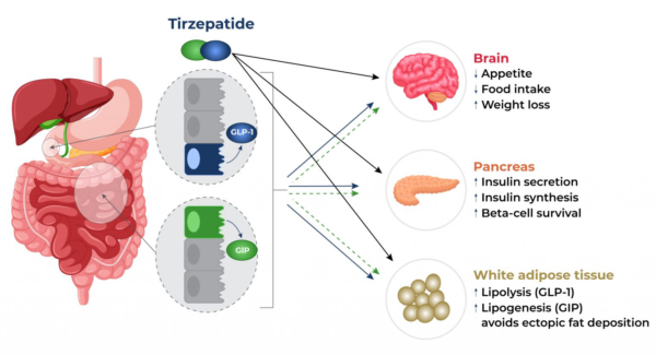 Diagram Description automatically generated